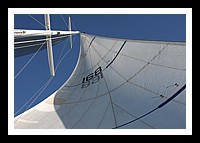 IMG_0916pp.JPG