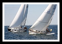 IMG_0929pp.JPG