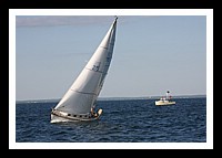 IMG_0931pp.JPG