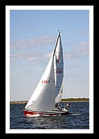 IMG_0935pp.JPG