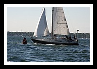 IMG_0956pp.JPG