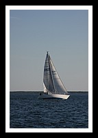 IMG_0963pp.JPG