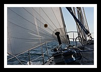 IMG_0972pp.JPG