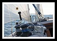IMG_0973pp.JPG