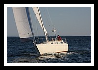 IMG_0976pp.JPG