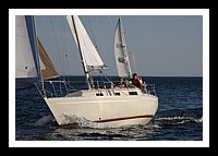 IMG_0977pp.JPG
