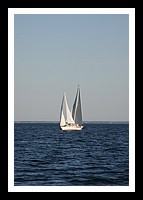 IMG_0986pp.JPG