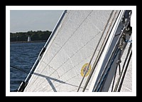 IMG_0991pp.JPG