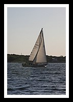 IMG_0993pp.JPG