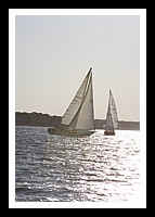 IMG_0995pp.JPG