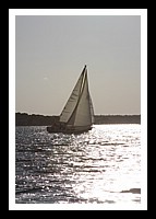 IMG_0996pp.JPG