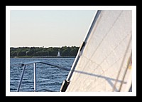IMG_1006pp.JPG