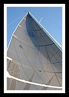 IMG_1008pp.JPG