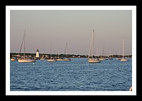 IMG_1012pp.JPG