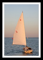 IMG_1013pp.JPG