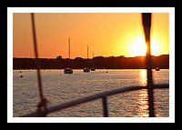 IMG_1020pp.JPG