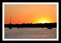 IMG_1031pp.JPG